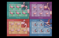 [Birds - Flamingos, type LJR]