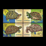 [Fauna - Turtles, type LKF]