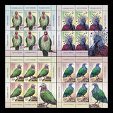 [Birds - Exotic Pigeons, Typ LKQ]