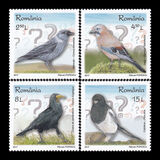 [Intelligent Birds, type KHV]