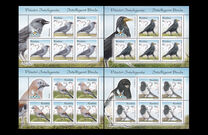 [Intelligent Birds, type KHV]