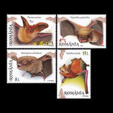 [Fauna - Bats, type KFU]
