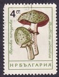 [Mushrooms, type ANQ]