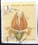 [Definitives - Tree Fruits and Nuts, type FHJ]