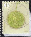[Definitives - Tree Fruits and Nuts, type FHD]