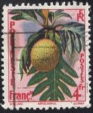 [Breadfruit, Typ I]