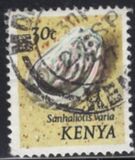 [Seashells, type AN]