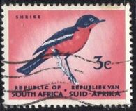 [Definitive Issue, type IC]