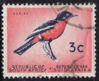 [Definitive Issue, type IC]