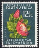 [Definitive Issue, type IG]