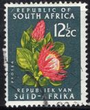 [Definitive Issue, type IG]