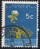 [Definitive Issue, type ID]