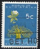 [Definitive Issue, type ID]