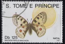 [Christmas - Butterflies, Tip AFI]