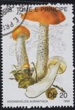 [Fungi, tyyppi ABC]