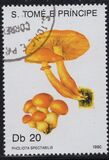 [Fungi, tyyppi ABB]