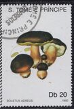 [Fungi, tyyppi AAZ]