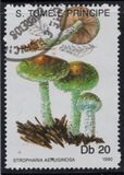 [Fungi, tyyppi ABA]