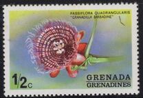[Flowers - Issues of 1975 of Grenada, but inscribed "GRENADINES", type BB]