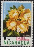 [Wild Flowers, type ANO]