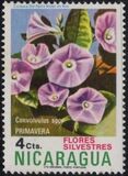 [Wild Flowers, type ANN]