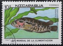 [World Food Day, type BYI]