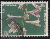[Flowers, प्रकार HH]