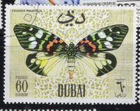 [Butteflies, Tip GH]