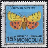 [Butterflies, type ACY]