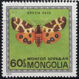 [Butterflies, type ADC]