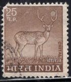 [Spotted Deer, тип PE]