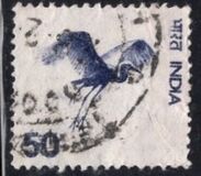 [Local Motifs, type QQ]