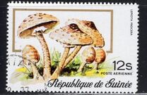 [Airmail - Fungi, Typ RN]