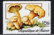 [Airmail - Fungi, Typ RO]