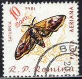 [Butterflies & Moths, type BTG]