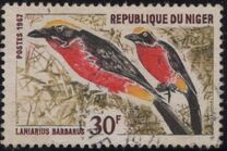 [Birds, type EH]