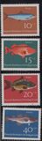 [Youth Health - Fish, typ ID]