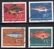 [Youth Health - Fish, typ ID]