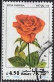 [Roses, Вид AEV]