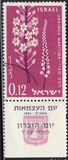 [The 13th Anniversary of Independence. Flowers, type HJ]