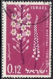 [The 13th Anniversary of Independence. Flowers, type HJ]