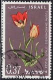 [15º Aniversario del estado de Israel. Flores., tipo JD]
