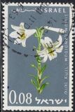 [15º Aniversario del estado de Israel. Flores., tipo JB]