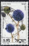 [Thistles, jenis ADM]