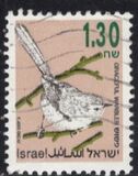 [Songbirds, Вид AUG]