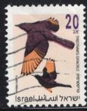 [Songbirds, type ATB]