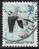[Songbirds, type ATC]