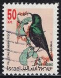 [Songbirds, type ATJ]