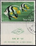 [Red Sea Fish, тып IK]