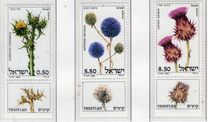[Thistles, jenis ADL]